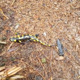 92C1BD59-6F0E-41D3-B7AF-2A0D25B79CDC