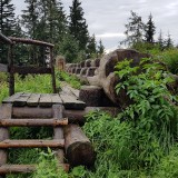 9C3269D4-2500-4981-956D-101E3AEBB317