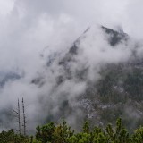 9F5D828A-B645-473E-84F3-1A69E267CBD7