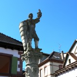 IMG_1041