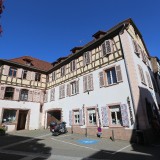IMG_1061