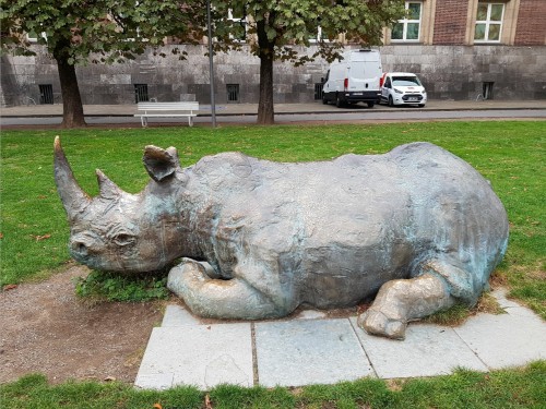 Nashorn/носорог во дворе музея Kunstpalast/дворей мскусств Дюссельдорф