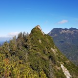 9EF4852D-DB40-4695-9DD7-4184D8DADF24