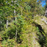 02867639-9B26-4CA9-9728-388F1C6C98CA