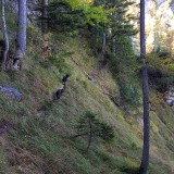 128EBC3D-36AE-4953-AEF3-48CFE485E8CF