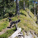 51E4A5DB-41B2-45D2-A009-8D72C6E8B064