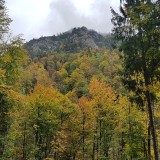 85E1387B-587A-45CF-9329-F860780B8193