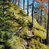 B7F0C90C-F237-415B-B568-045C559E7535