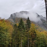 CE9E35C6-44AB-47E3-964D-75D395484A5C