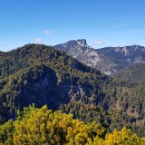 DE8C5D43-45FC-4A7F-B021-5ED555C1A095