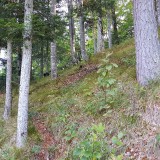 ECA51309-9A06-4B80-A98C-53E8823D4487