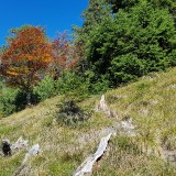 1D580337-B6E8-4749-8541-D8DB9BACACA8