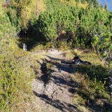 60526B95-E755-40BD-819B-F598C4694039