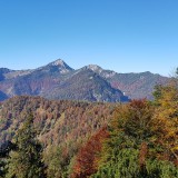 74CDAB2E-42CF-436E-BAEA-A49CB182955D