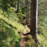 7EA80F7D-5986-4EB6-A10B-09C55580AAC5