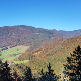 9B569D78-0308-4373-A7D8-103CACB26364