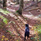 A7028655-F741-4BA3-8B3F-16B28B19DFB6