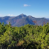 BEE85033-EAA0-48EA-AF75-A34ED8A35A46