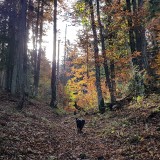 CEB83D12-F528-4486-A88C-75C97D8DBEE0