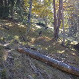 DCCCAD0A-0F32-4999-96B9-C3707F5442EA