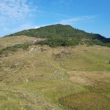 0893544F-1DD2-4E74-AE6F-232209A55861