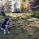 1151510C-F0F8-42AA-AEF9-386EB0118E08