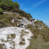 15E5FCD7-8EE3-4D11-BF36-CA4BBA2C505F