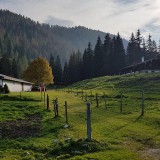 240325B0-B2C0-4A11-855F-EC20F56327D1