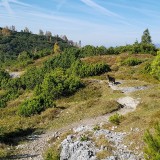 558B4CE1-CBC5-4005-8FD2-17A91522A44E