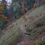 802E6041-3E98-46FE-A34A-9AAD568D0AB6