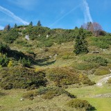 A4691D2A-4C4C-40FA-9A02-5DD4EB5315B9