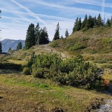 B06F0A69-193F-4C15-8F65-614FA0130274