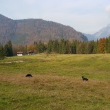 B3EBE54D-D3A5-4D84-A488-F82F16BB19A4