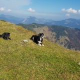 B60213A0-3D4A-41F9-B4D6-FE78D8B53184