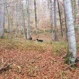 01A5271B-D164-486F-9AC7-7E0B7BED4722