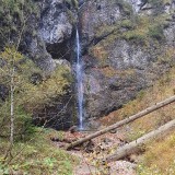 0E1611DF-C131-464D-8D44-5B2C2FD0EDDA