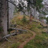 0FD3840B-784D-46E5-A603-70E033AEFE17