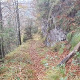 1A7F8BAB-D5BC-4DC3-81B2-4B6871CAC8ED