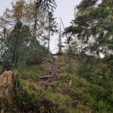 1E6026A0-3868-45C0-A4B0-9C70487DF584