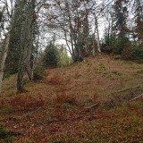 4865234C-EC83-4042-A869-F65FFCD18B9D