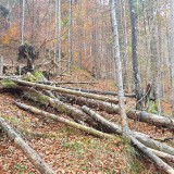 4E1C6449-1DB9-4544-BE56-1470F5F9E892