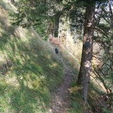 51EF5D55-2727-4DC8-9DCD-088A0F96C81B