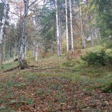 5B7CEE8A-0362-44D2-A144-11C75CEDCEBA