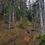 68365A88-3C6A-4F98-91E8-3625F7D779DF