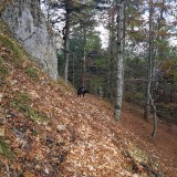 74023EF4-E2C1-4C5A-AFE9-DB9494061D3E