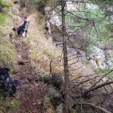 775D156D-9F30-4402-B9E3-F03DF7812CC9