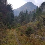 8C0605C3-14CA-4314-A3E9-476E6CEA411B