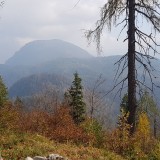 8E5A2CD7-BAEB-4B5C-9165-0FE3ECAEE188