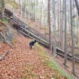 8F5FE7B1-E642-4B9B-B88E-6E17F573BB17