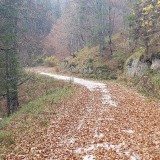 92F0B6B9-1F3A-4CB0-AA2C-0D727CBA5254